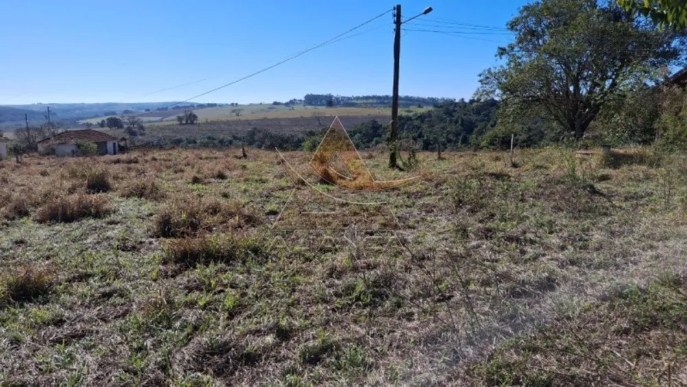 Fazenda, 225 hectares - Foto 3