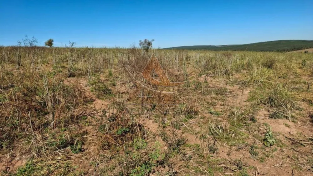 Fazenda, 225 hectares - Foto 4
