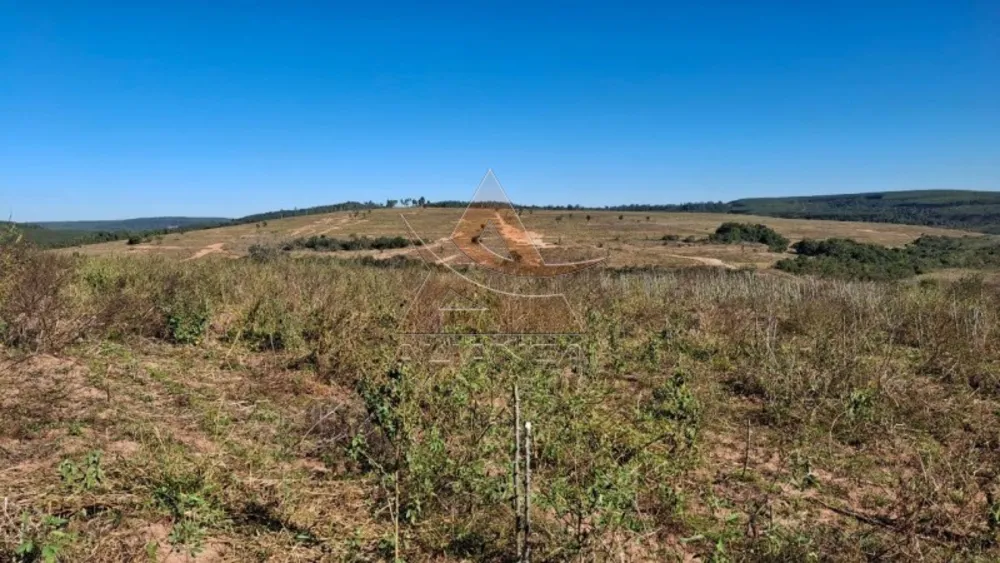 Fazenda, 225 hectares - Foto 1