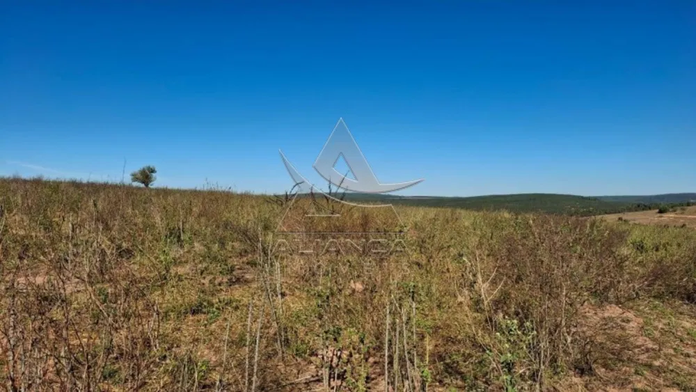 Fazenda, 225 hectares - Foto 7