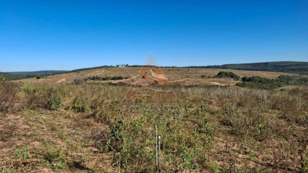Fazenda, 225 hectares - Foto 6