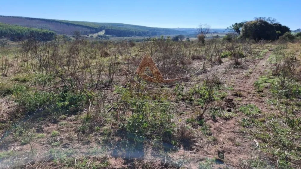 Fazenda, 225 hectares - Foto 8