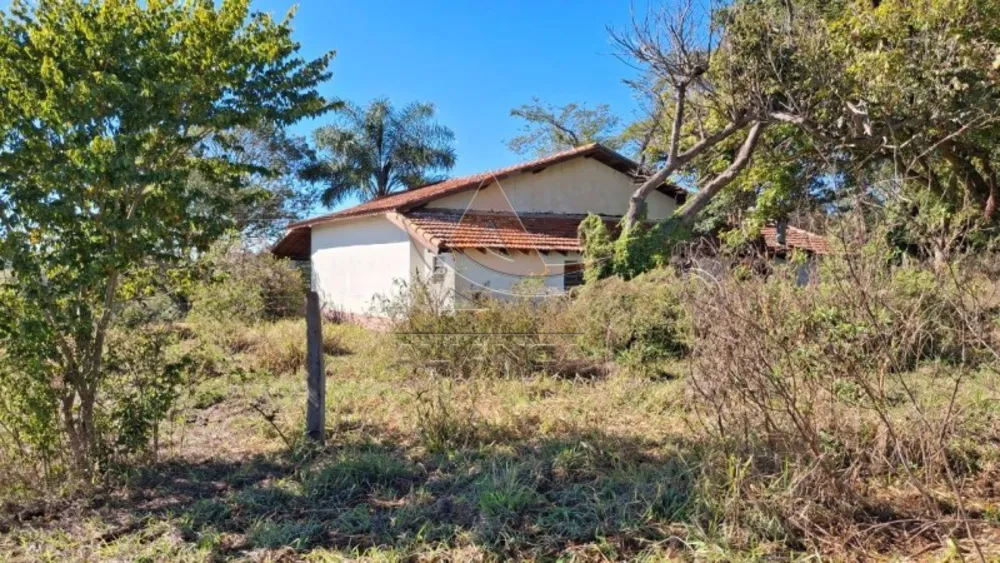 Fazenda, 225 hectares - Foto 2