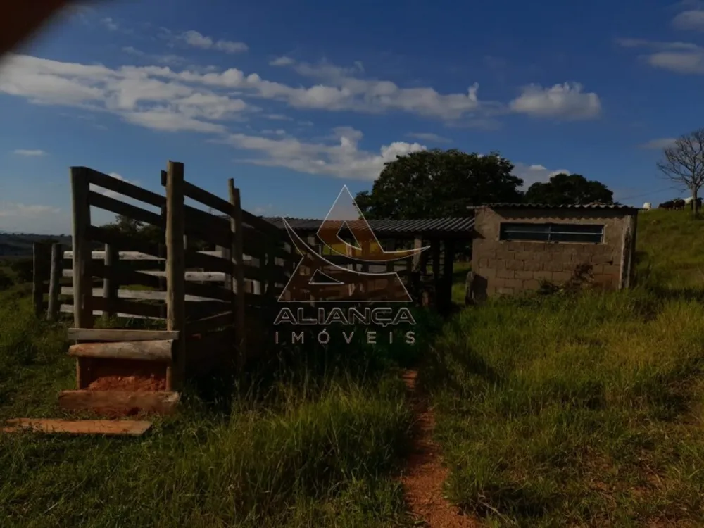 Sítio, 3 quartos, 13 hectares - Foto 6