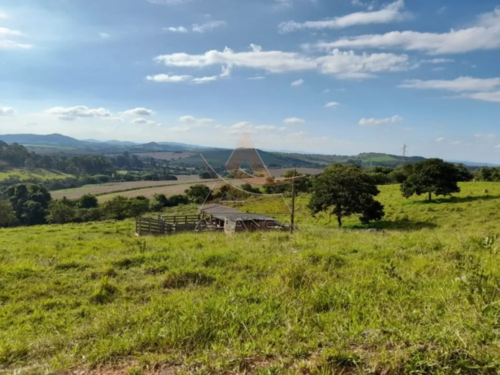 Sítio, 3 quartos, 13 hectares - Foto 8
