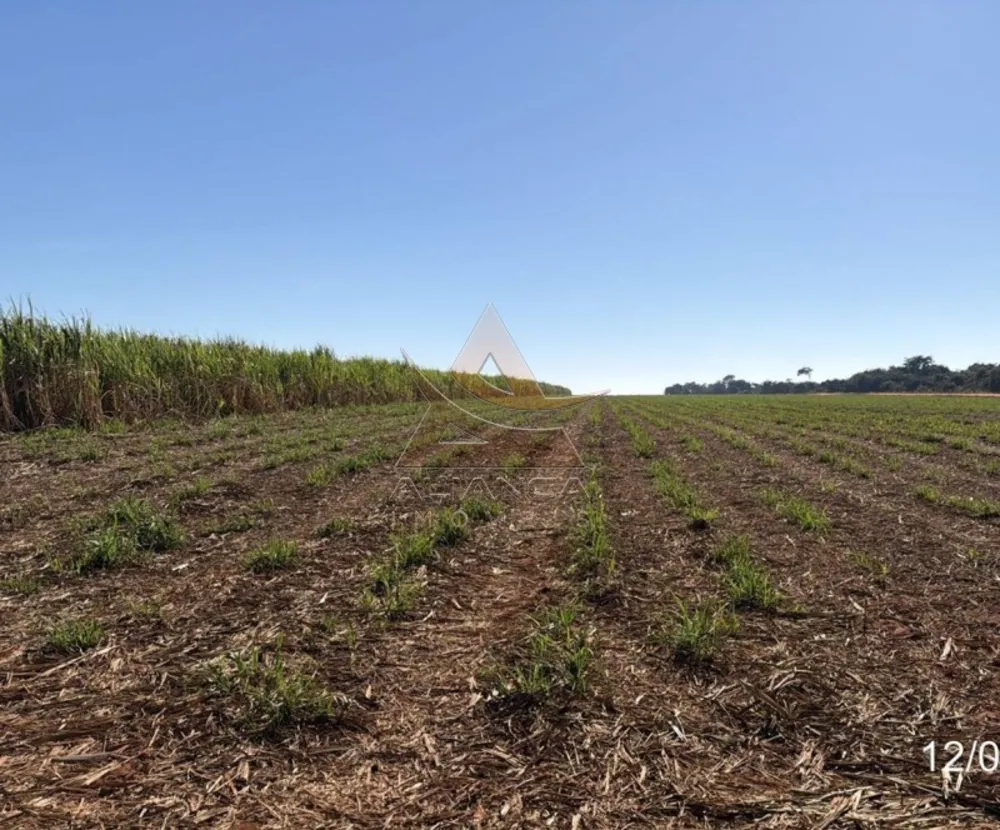 Fazenda, 399 hectares - Foto 7