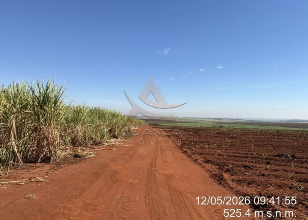 Fazenda, 399 hectares - Foto 2