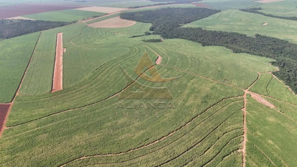 Fazenda, 399 hectares - Foto 4
