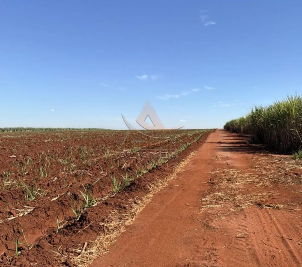Fazenda, 399 hectares - Foto 8