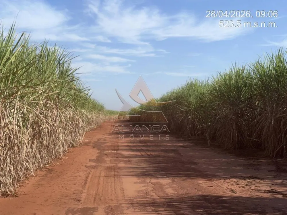 Fazenda, 399 hectares - Foto 3