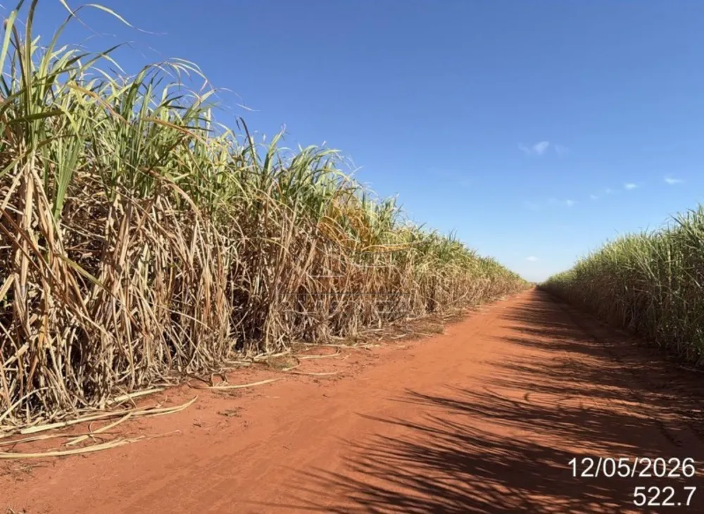 Fazenda, 399 hectares - Foto 6