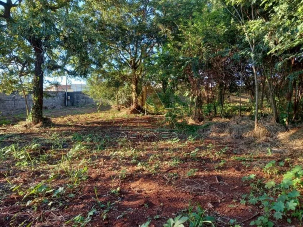Terreno, 3000 m² - Foto 1