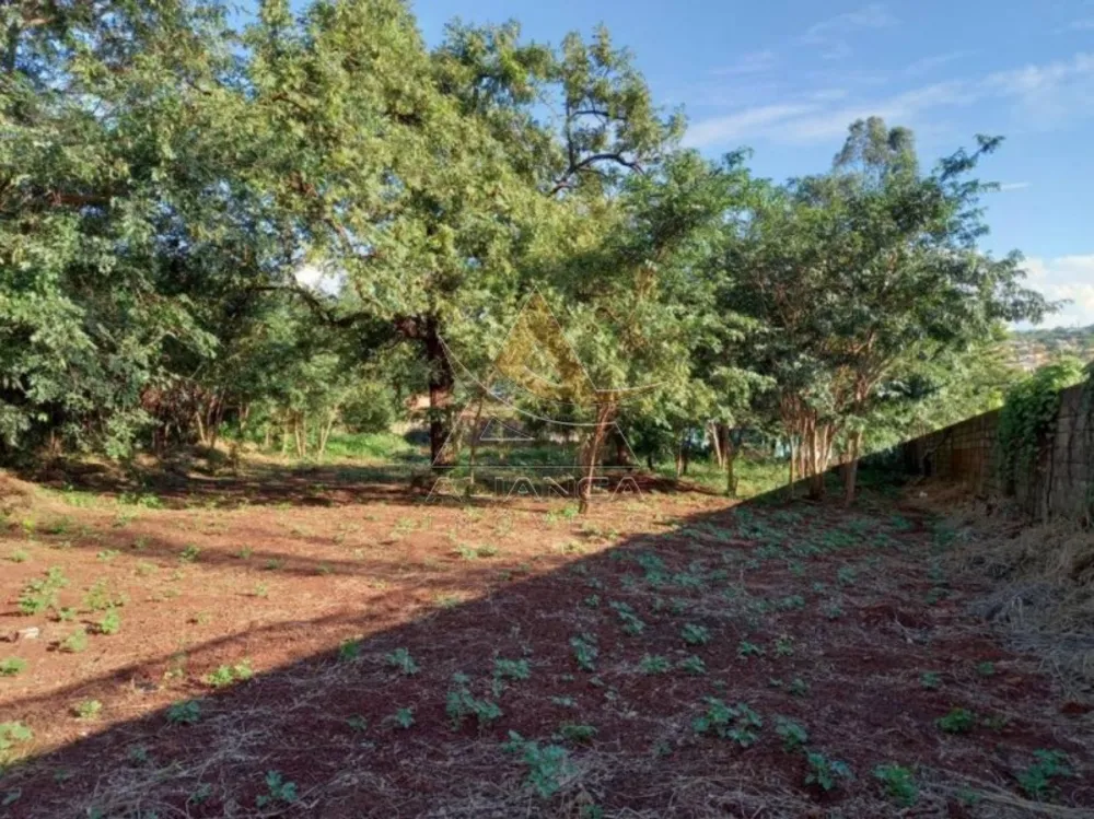 Terreno, 3000 m² - Foto 3