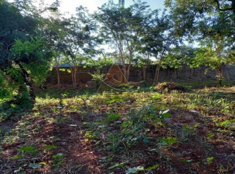 Terreno, 3000 m² - Foto 2