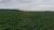 Fazenda, 249 hectares - Foto 1