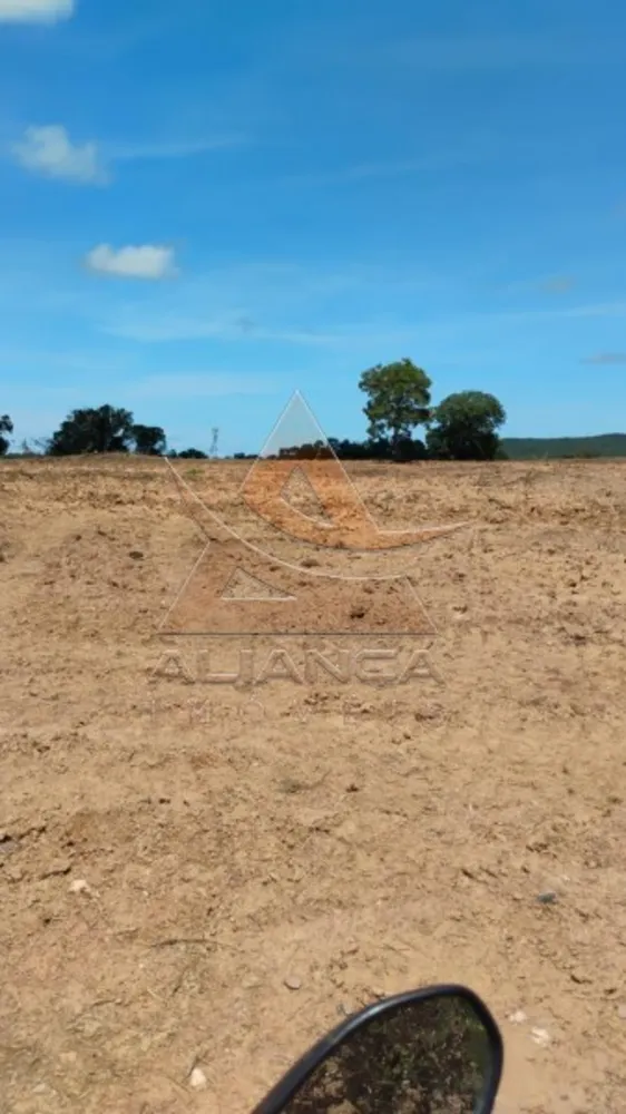 Fazenda, 2500 hectares - Foto 8