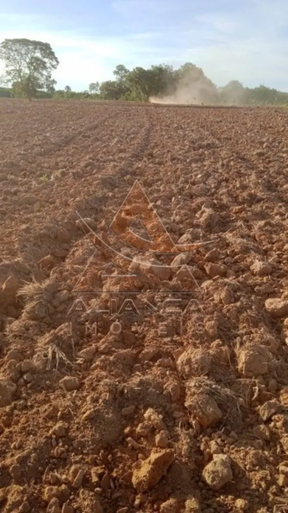 Fazenda, 2500 hectares - Foto 7