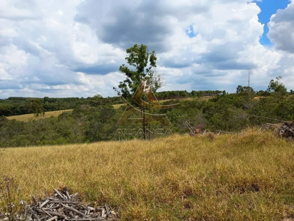 Fazenda, 925 hectares - Foto 3