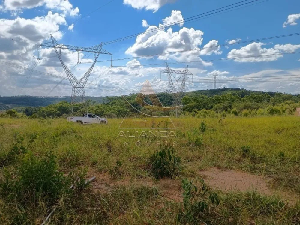 Fazenda, 925 hectares - Foto 4