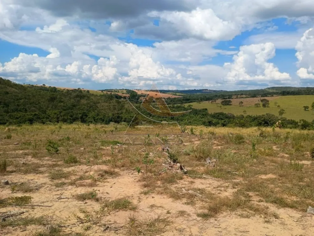 Fazenda, 925 hectares - Foto 1