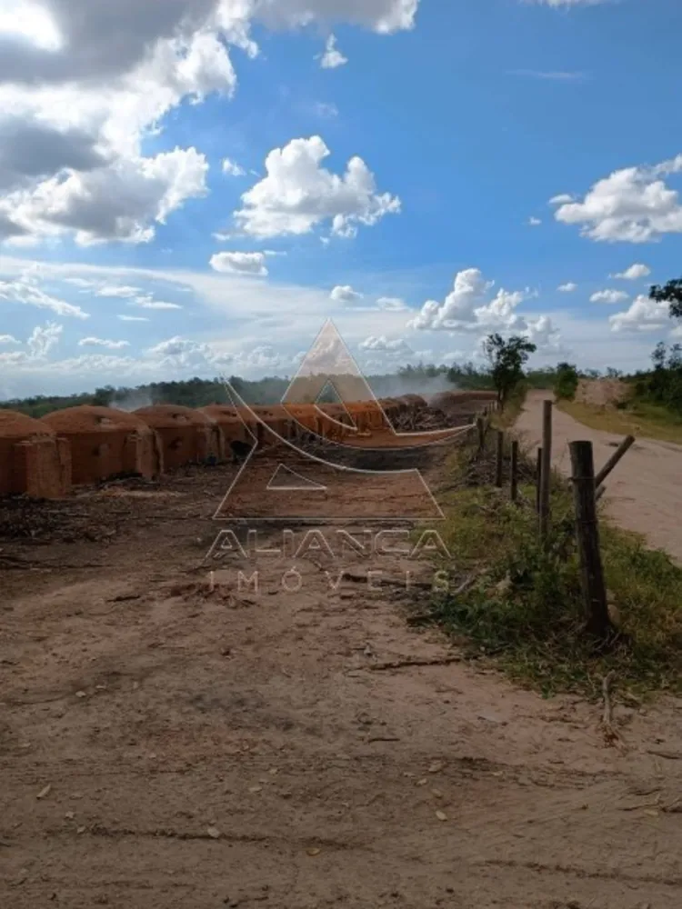 Fazenda, 925 hectares - Foto 7