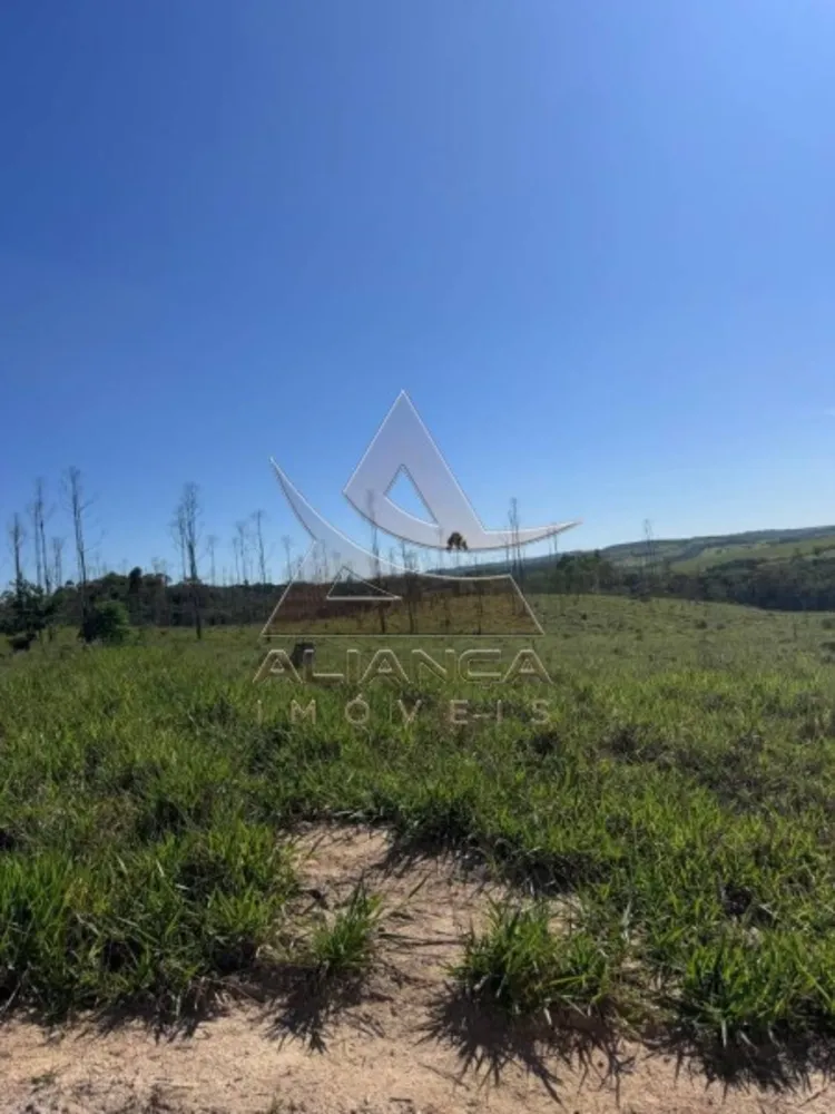 Fazenda, 925 hectares - Foto 6