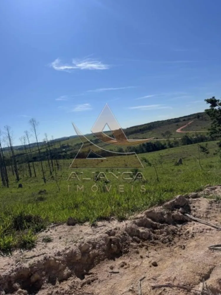 Fazenda, 925 hectares - Foto 8