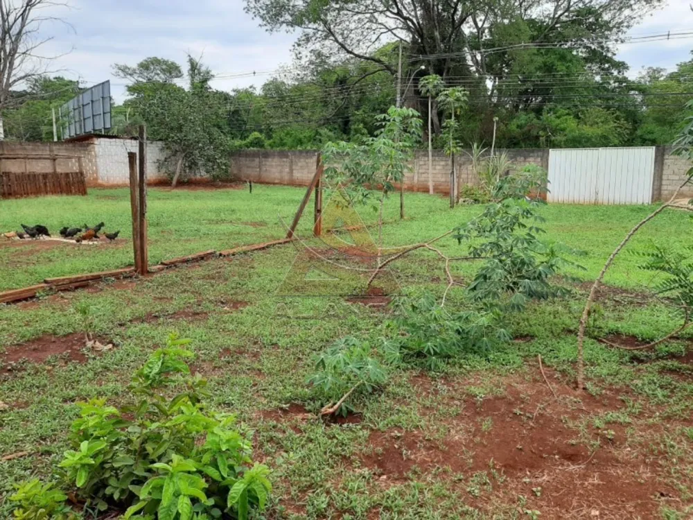 Terreno, 1079 m² - Foto 5