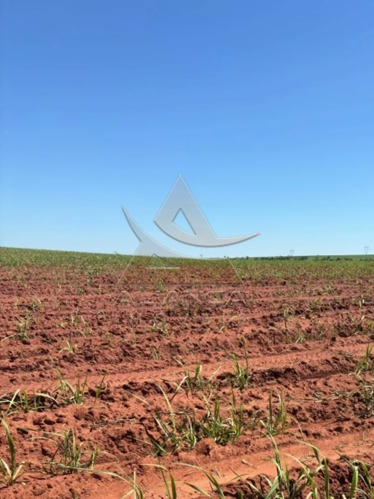 Fazenda, 697 hectares - Foto 2