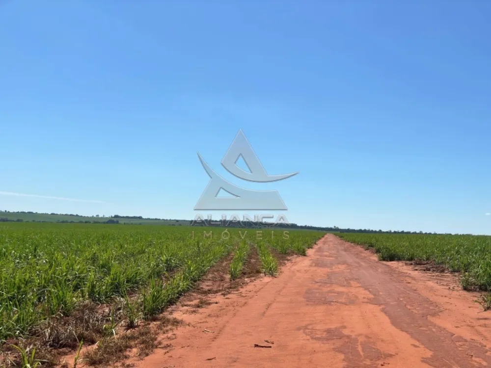 Fazenda, 697 hectares - Foto 2