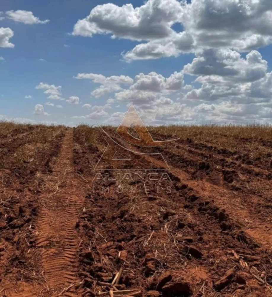 Fazenda, 697 hectares - Foto 3