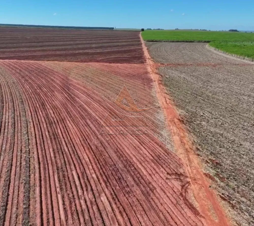 Fazenda, 697 hectares - Foto 1