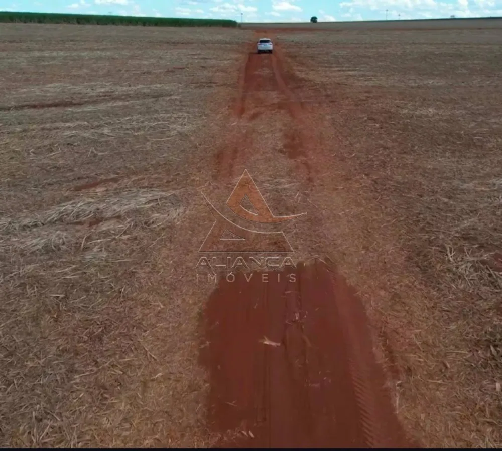 Fazenda, 697 hectares - Foto 6