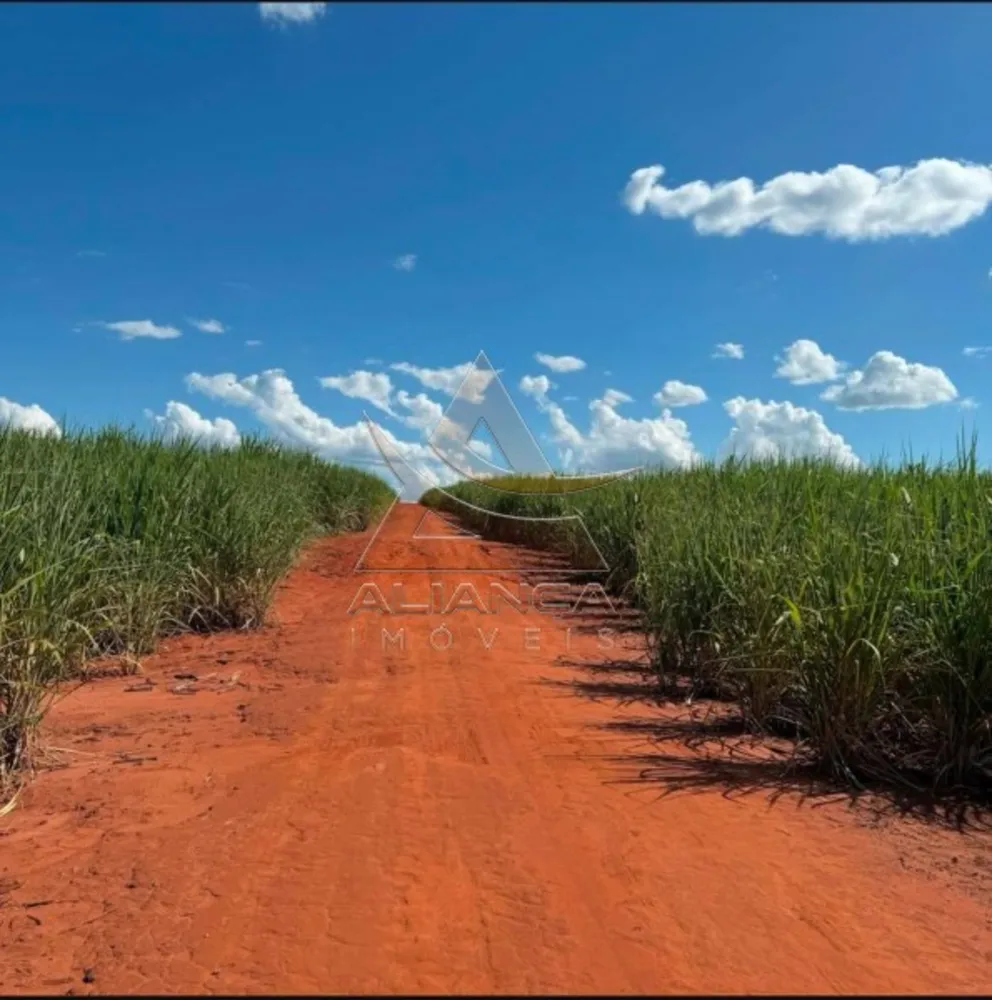 Fazenda, 697 hectares - Foto 4