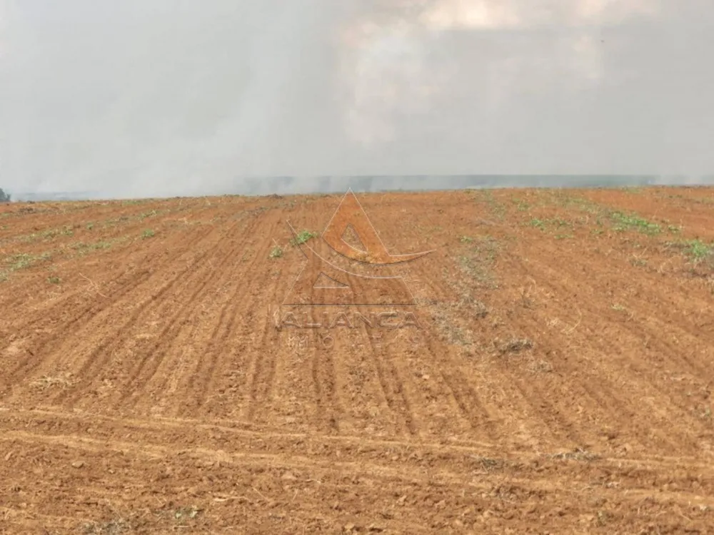 Fazenda, 1017 hectares - Foto 8