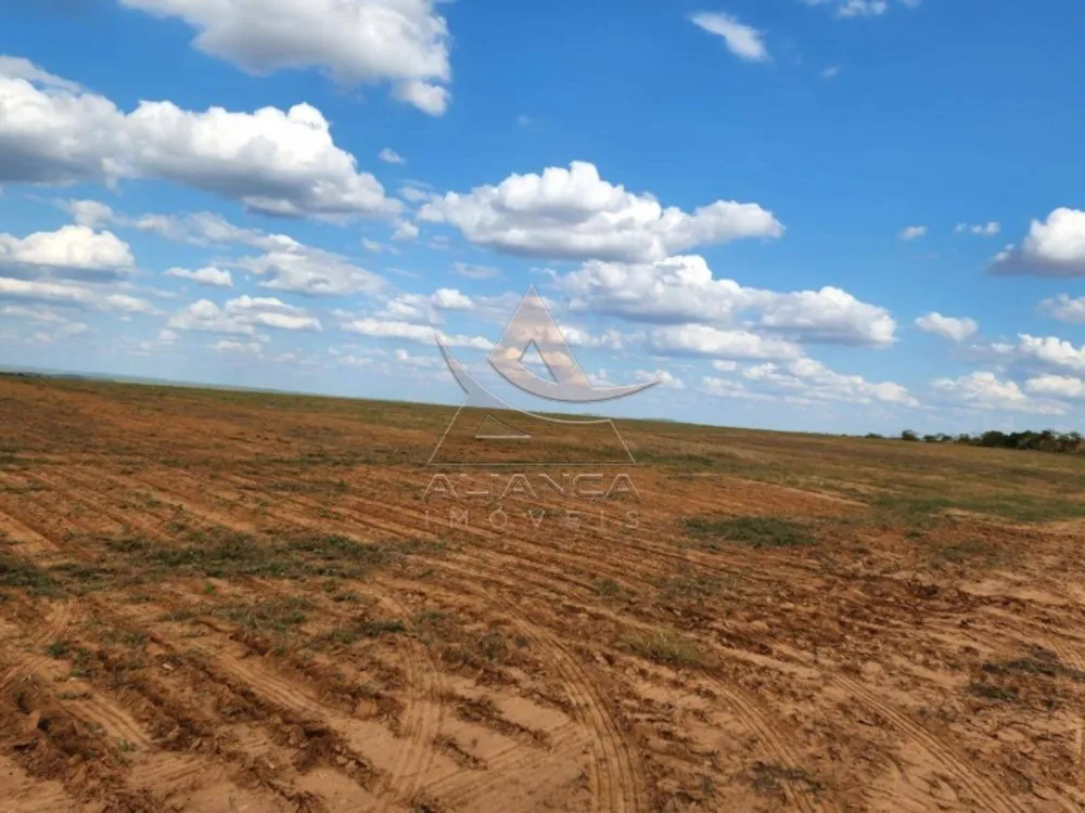 Fazenda, 1017 hectares - Foto 4