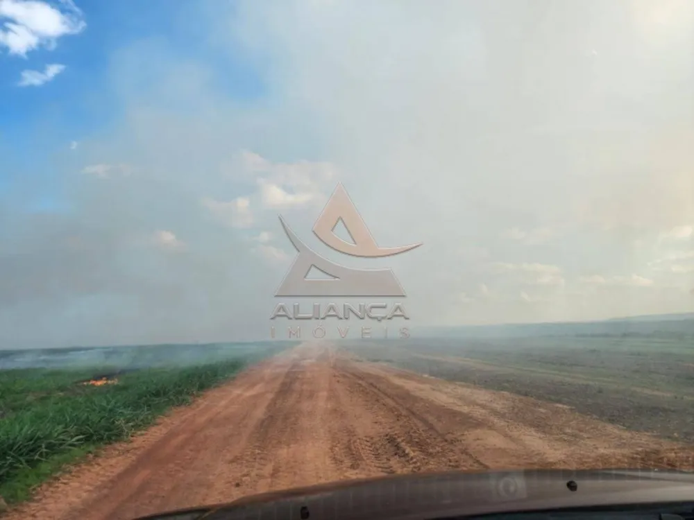 Fazenda, 1017 hectares - Foto 7