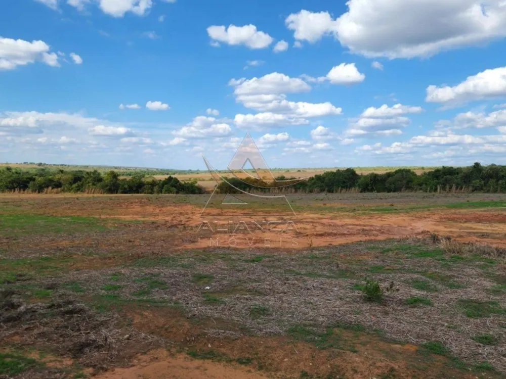 Fazenda, 1017 hectares - Foto 2
