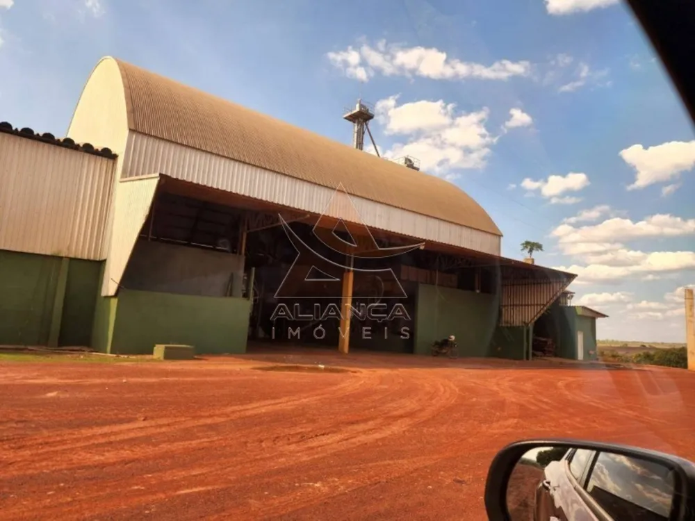 Fazenda, 1017 hectares - Foto 6