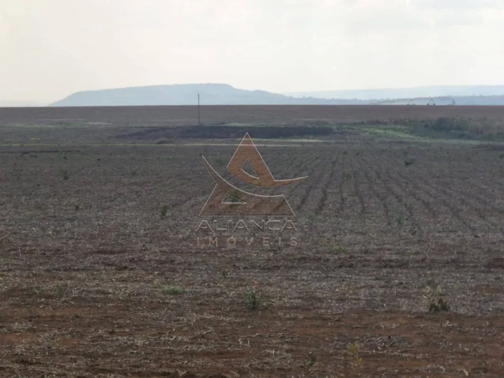 Fazenda, 1017 hectares - Foto 3