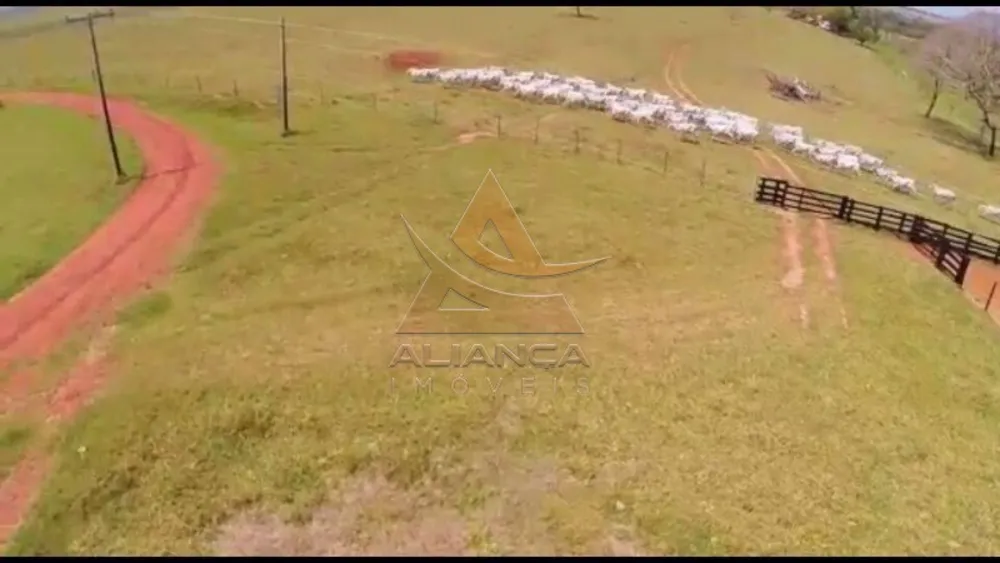 Fazenda, 5 hectares - Foto 3