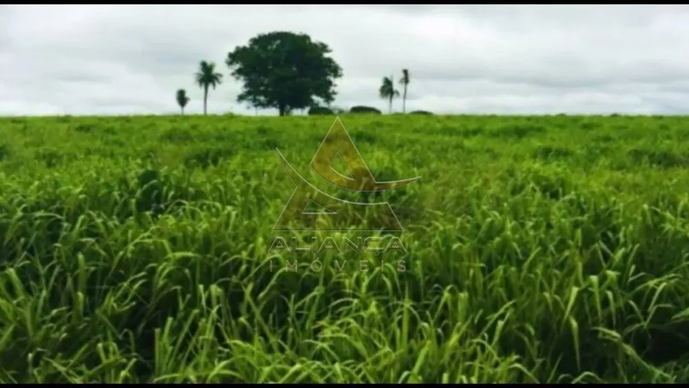 Fazenda, 5 hectares - Foto 6