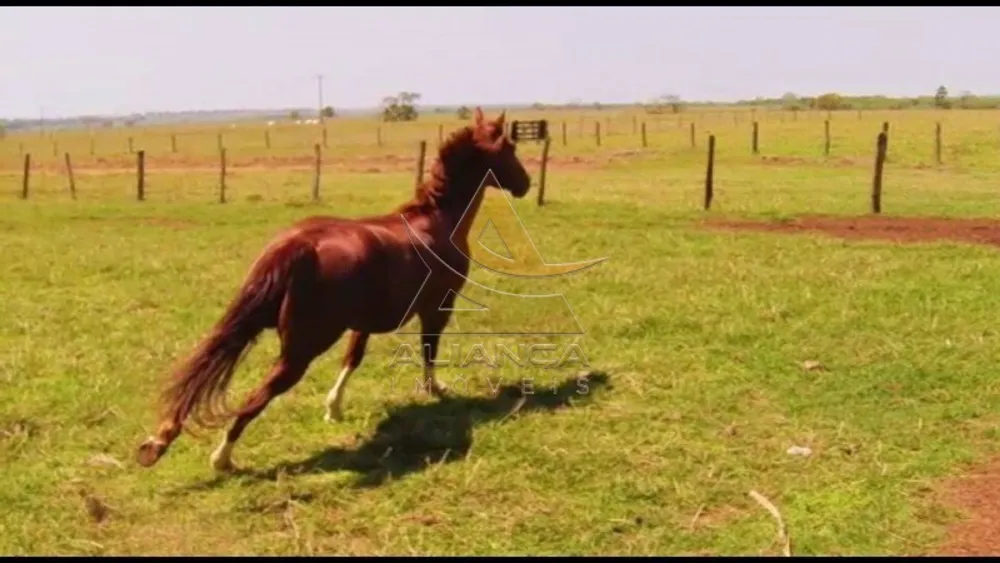 Fazenda, 5 hectares - Foto 1