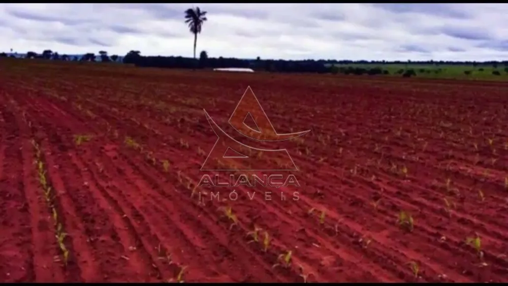 Fazenda, 5 hectares - Foto 4