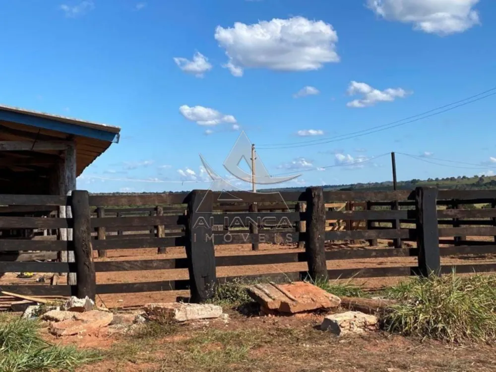 Fazenda, 5 hectares - Foto 8
