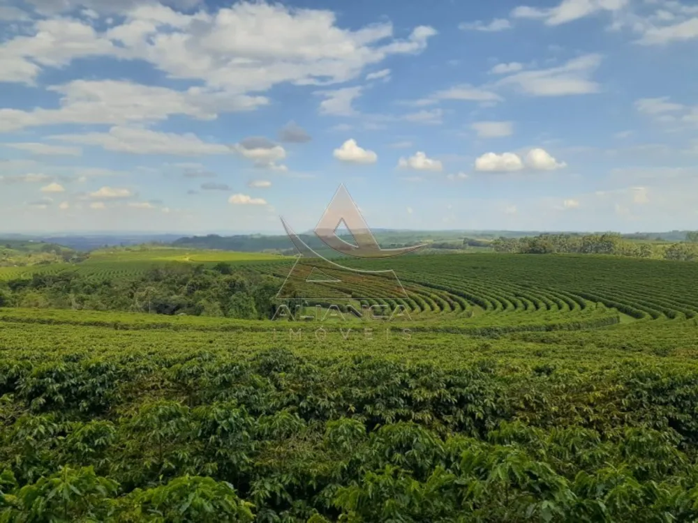Fazenda, 408 hectares - Foto 1