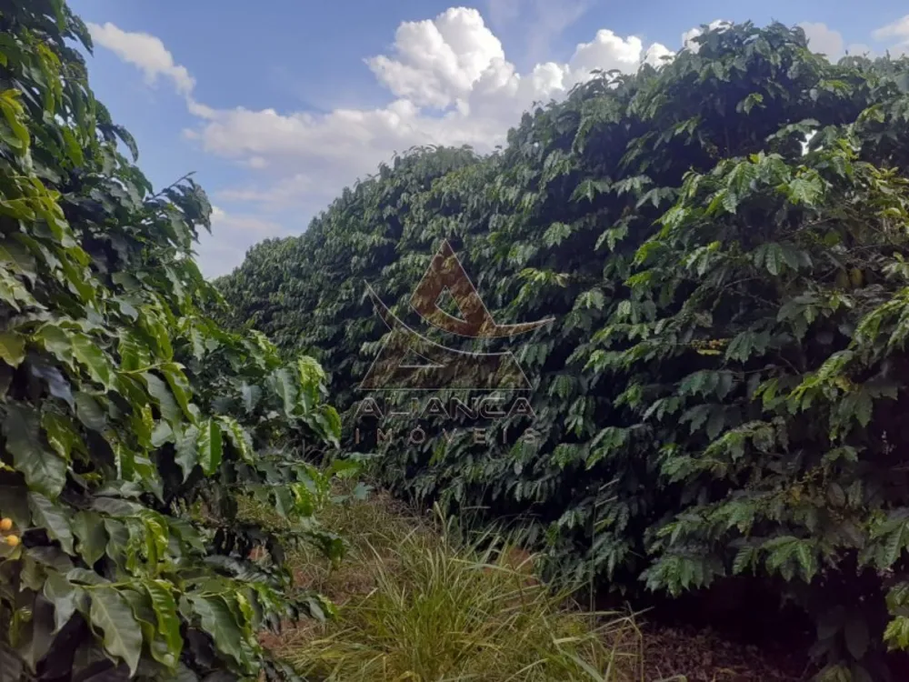 Fazenda, 408 hectares - Foto 6