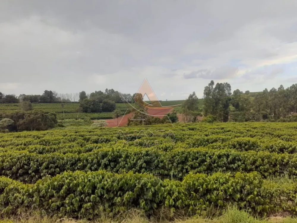 Fazenda, 408 hectares - Foto 1