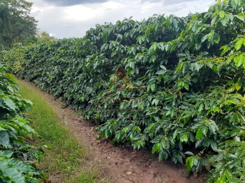 Fazenda, 408 hectares - Foto 3