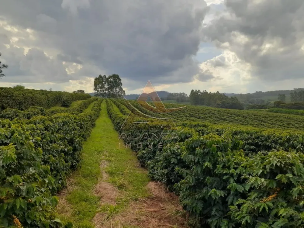 Fazenda, 408 hectares - Foto 2